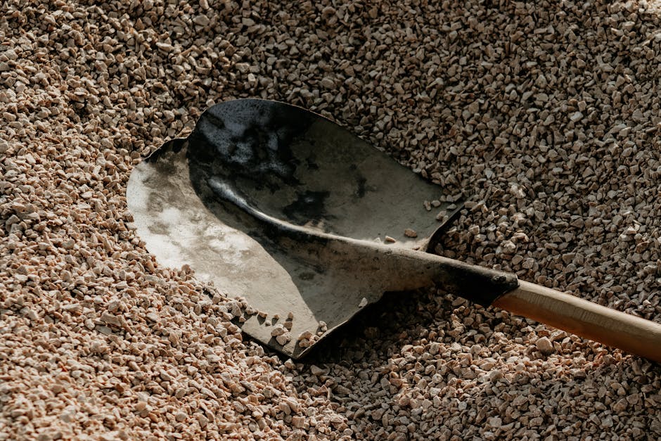 NVIDIA: The Shovels in the AI Gold Rush