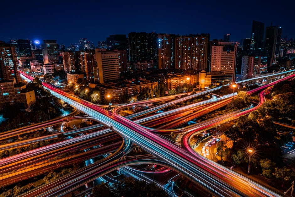 Growth Drivers: What Keeps the Momentum Alive?