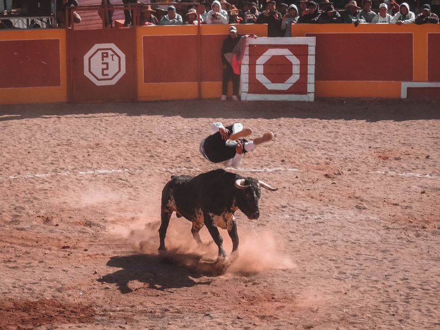 Risks to the Bull Case