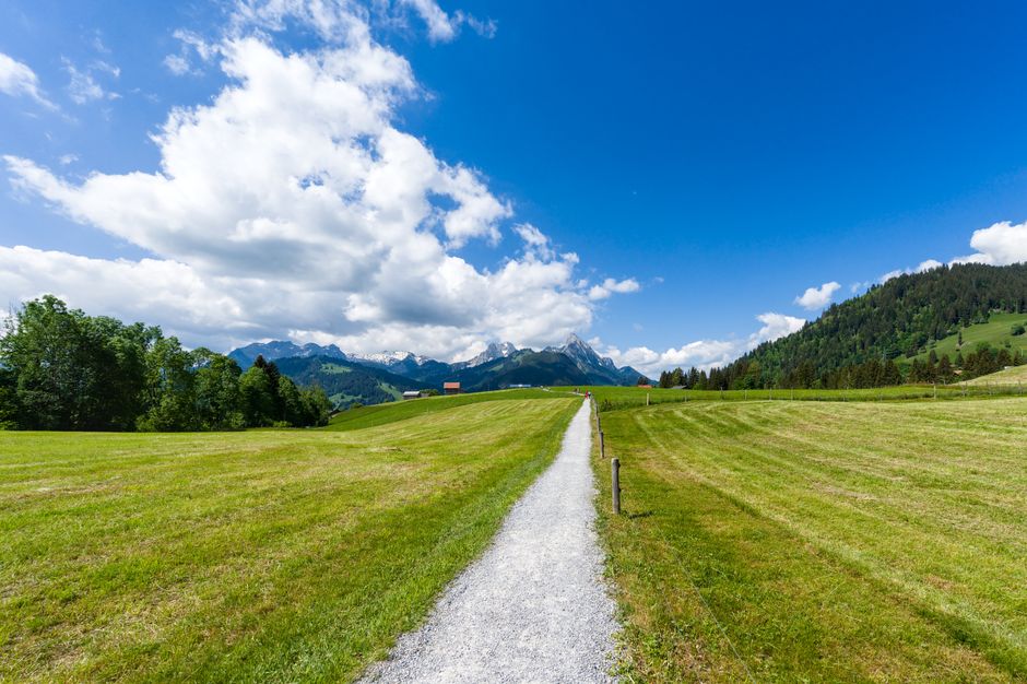 How The Market Views The Path Forward