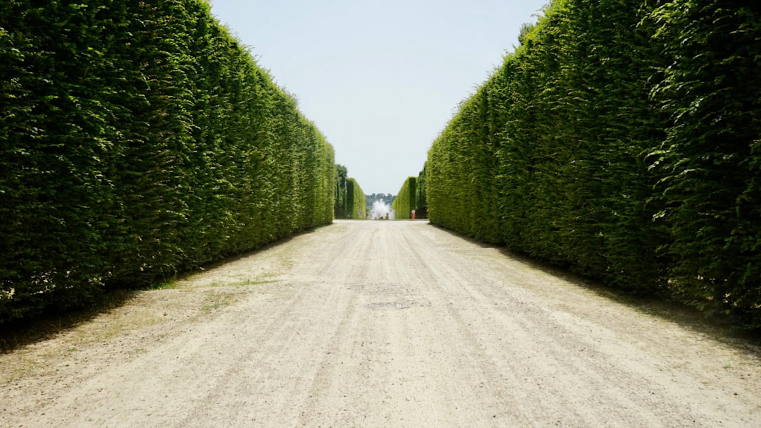 A Practical Hedge in a Small Business