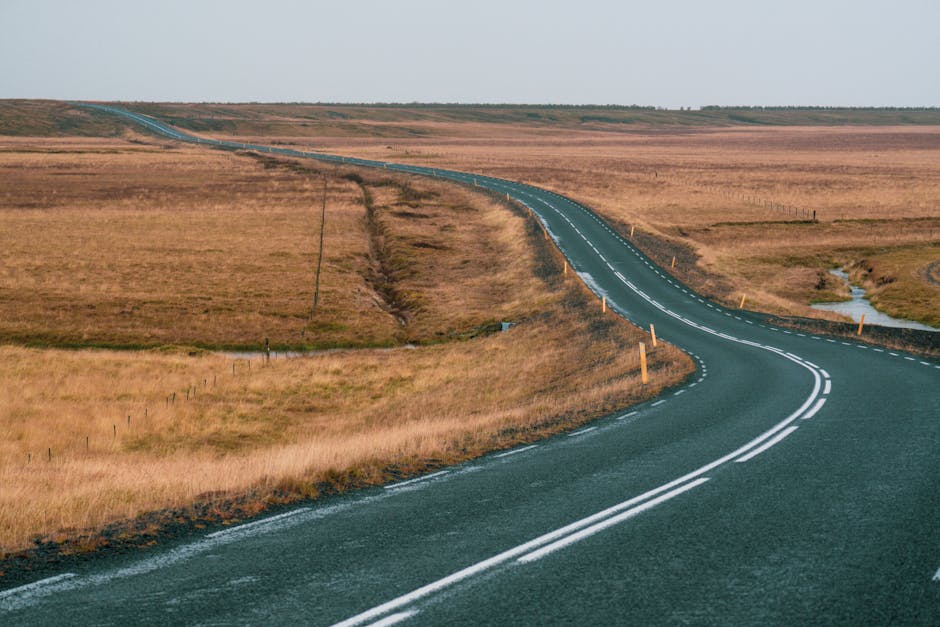 What Analysts Say About The Road Ahead
