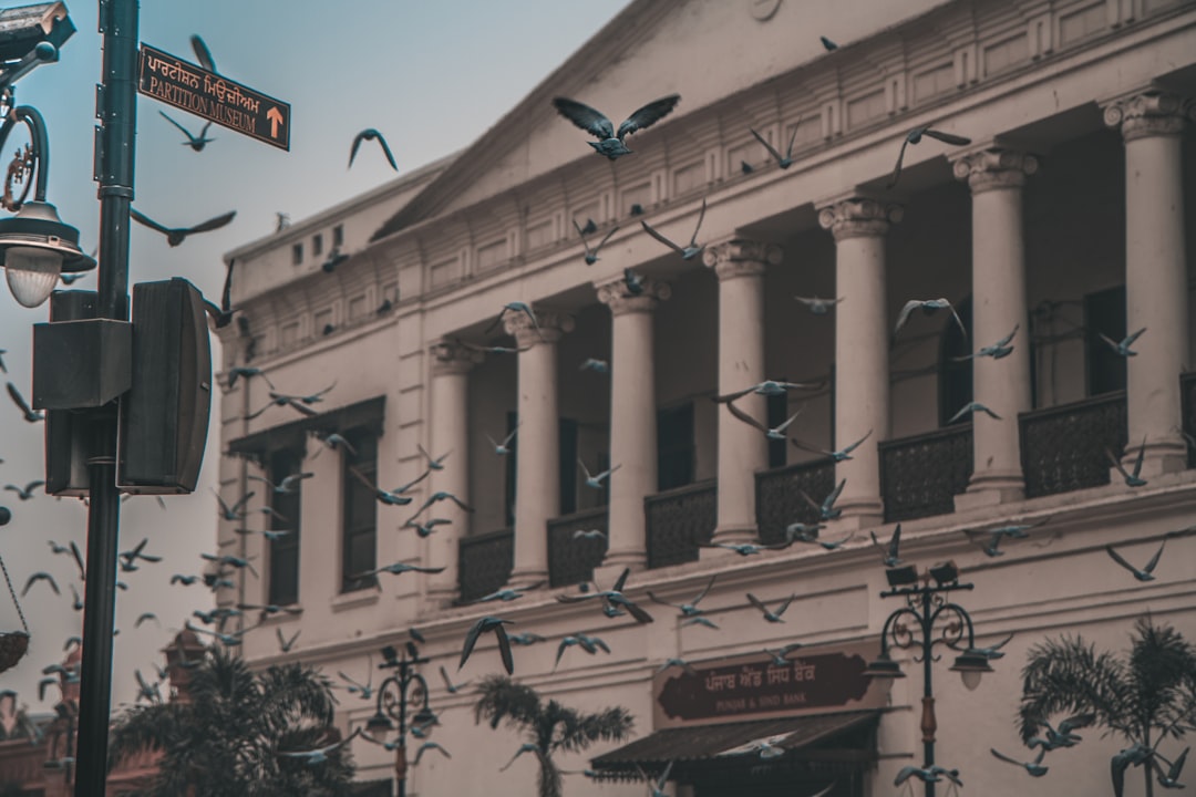 How To Approach A Position In Occidental: A Practical Playbook