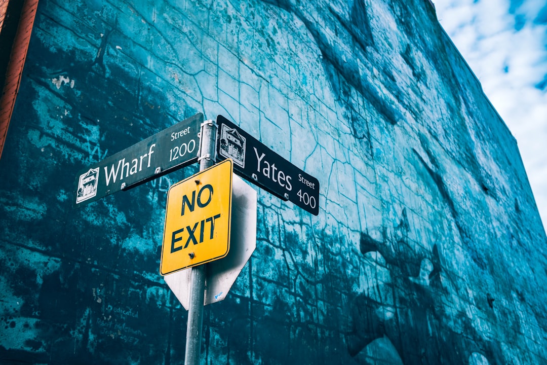 What Comes Next: Predictions and Industry Watchers’ Views