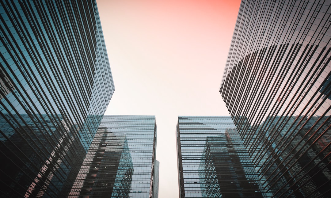 Real-World Scenarios: How Different Investors Might Approach This IPO