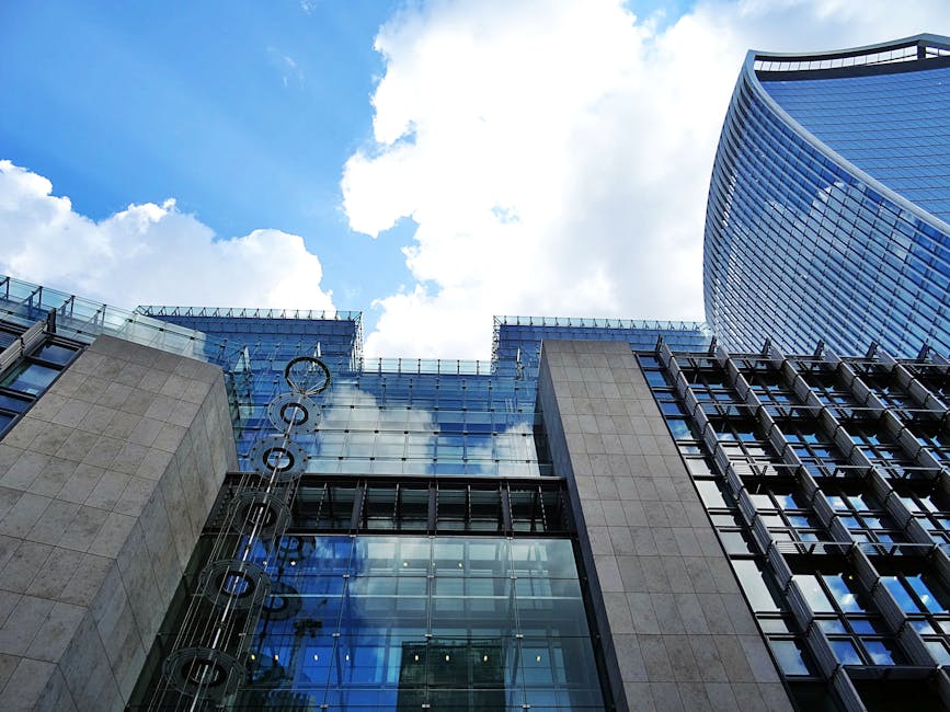 Public-Sector and Policy Context