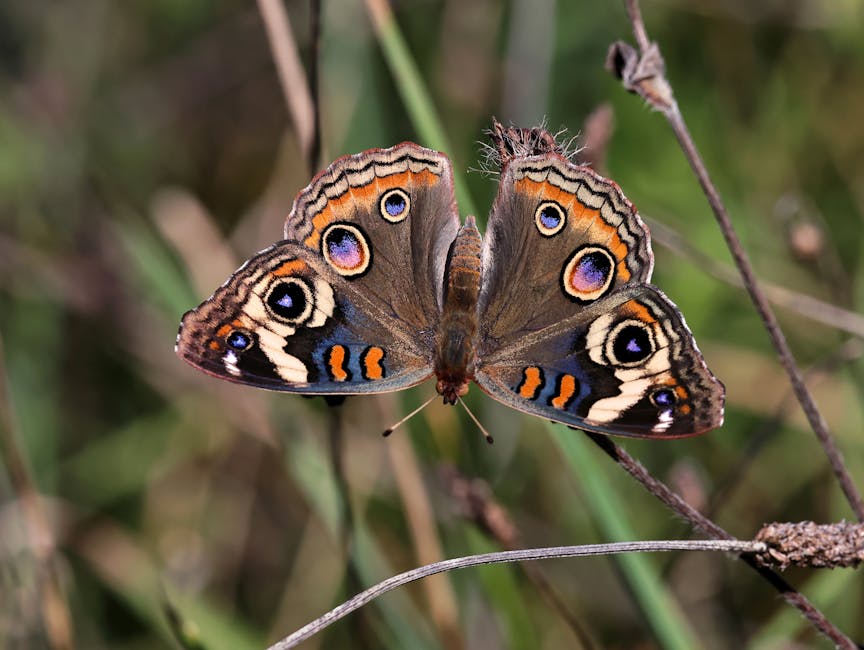 Common Pitfalls to Avoid