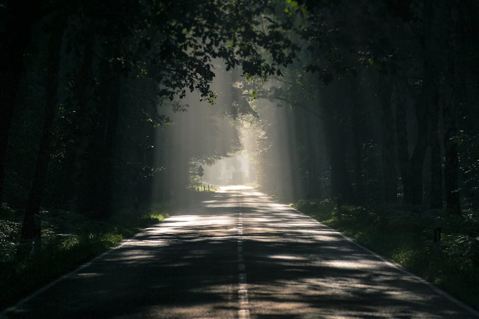 Guidance, Confidence, And The Road Ahead