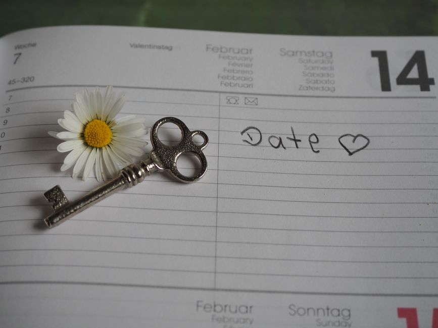 Key Dates and What to Watch Next