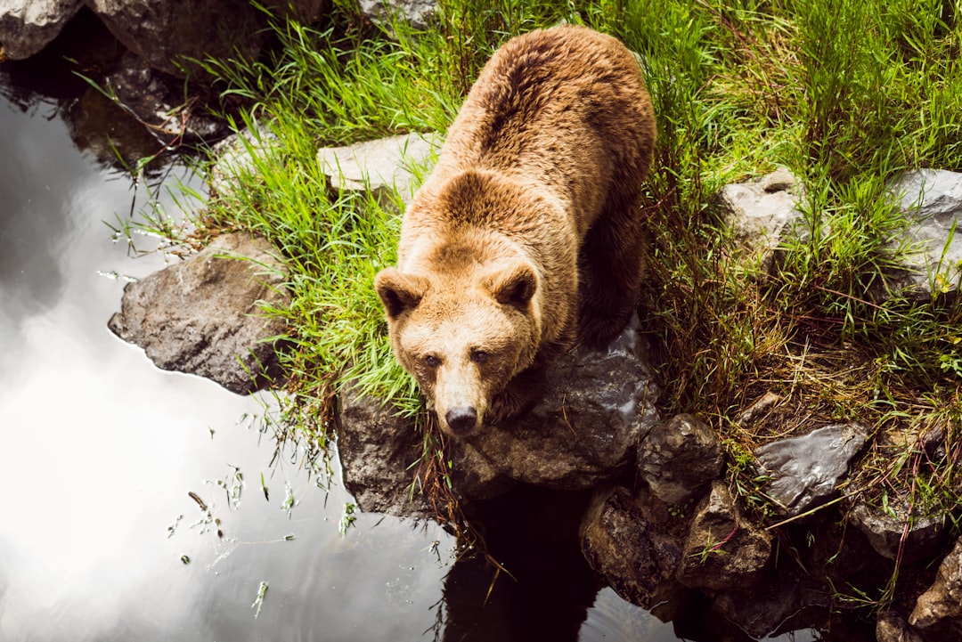 H3: The Bear Case in More Detail
Backlog concerns. A large contracted backlog can be a blessing or a trap. If a company