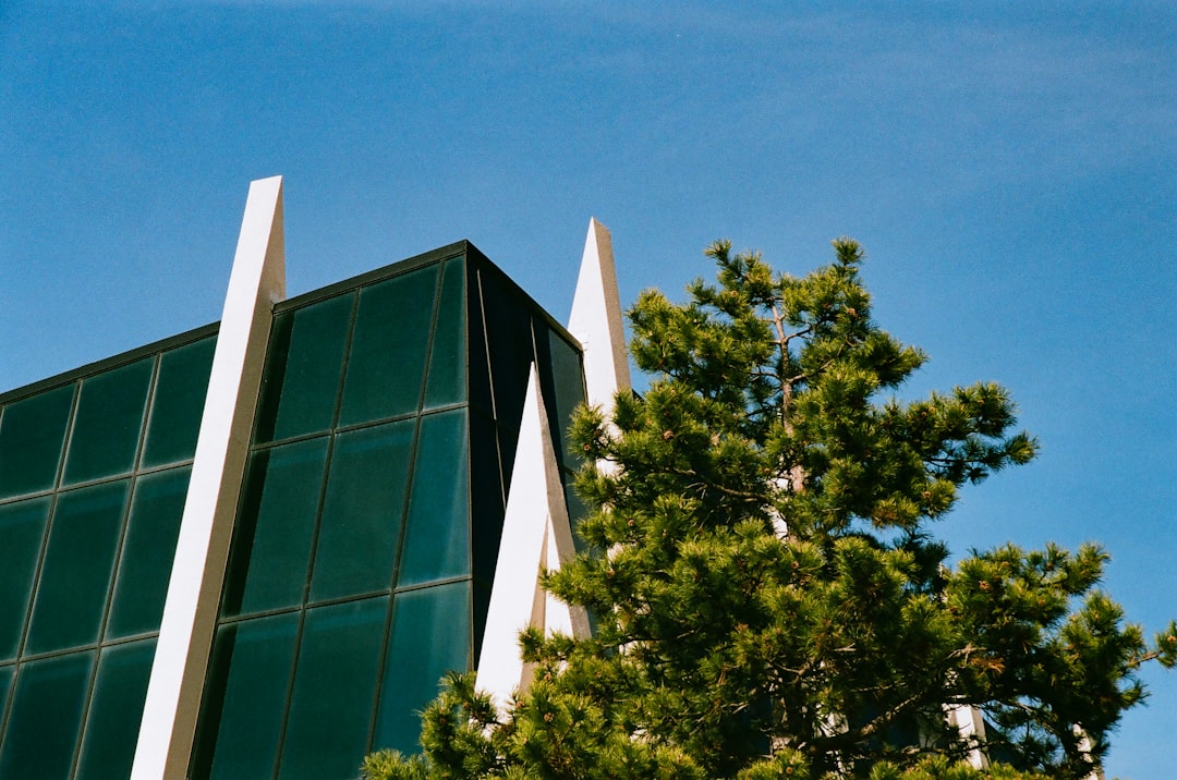 How to Read Oracle’s Latest Results