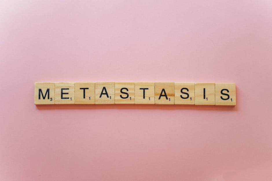 Meta’s Position And The Regulatory Pushback