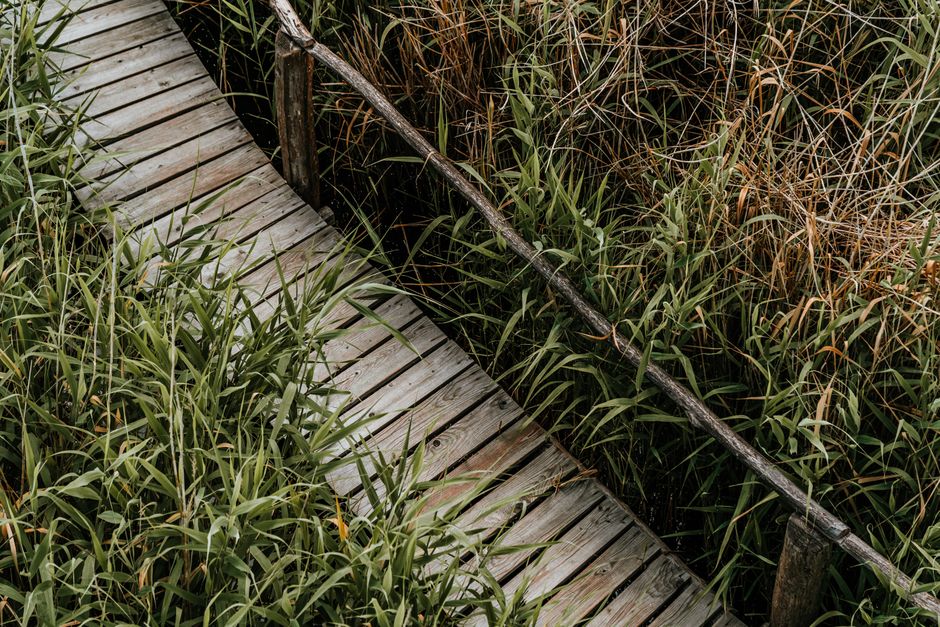 The SNF Path and the Observation Trap