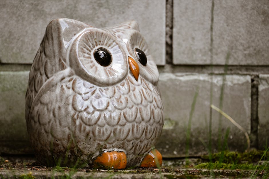 Roadmap Framework: How to Model Owlet (owlt) 2026 Earnings
