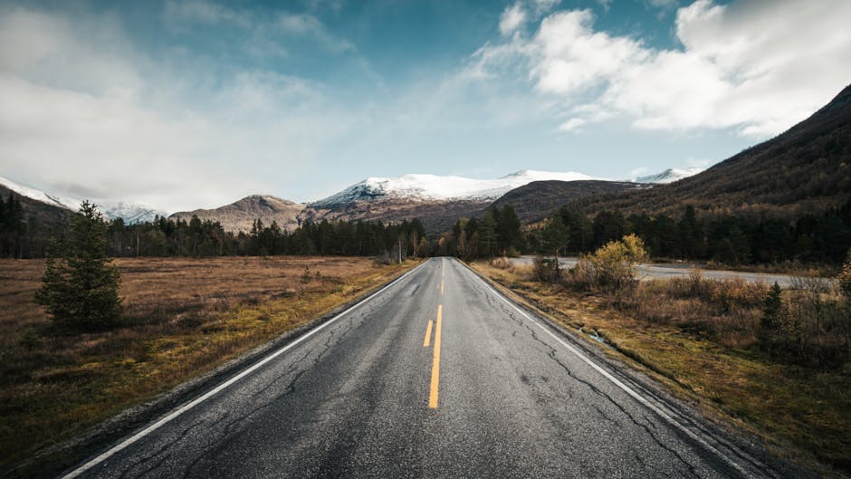 What to Watch Next: The Road Ahead