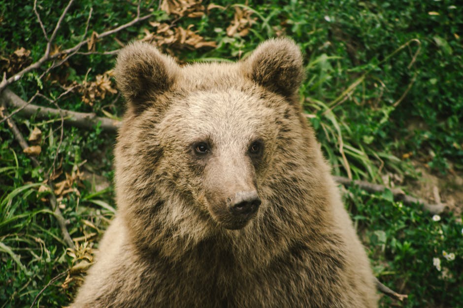 Bear, Base, and Bull Scenarios for Palantir Stock Generational Buying
