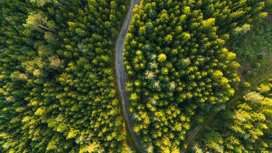 Structure, Checks, and the Path to Growth