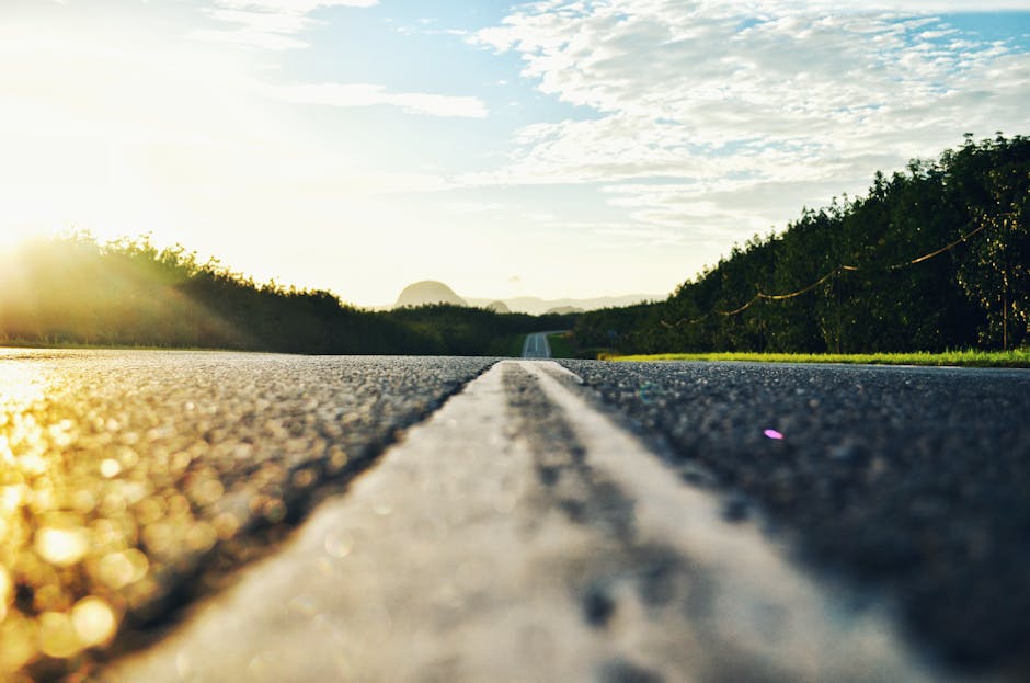 Roadmap and Next Steps