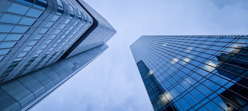 Three Practical Scenarios for Investors Looking at Paysign