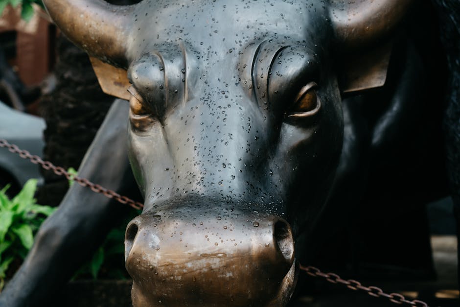 Profit Turnaround and Guidance: The Bull Case Gains Clarity