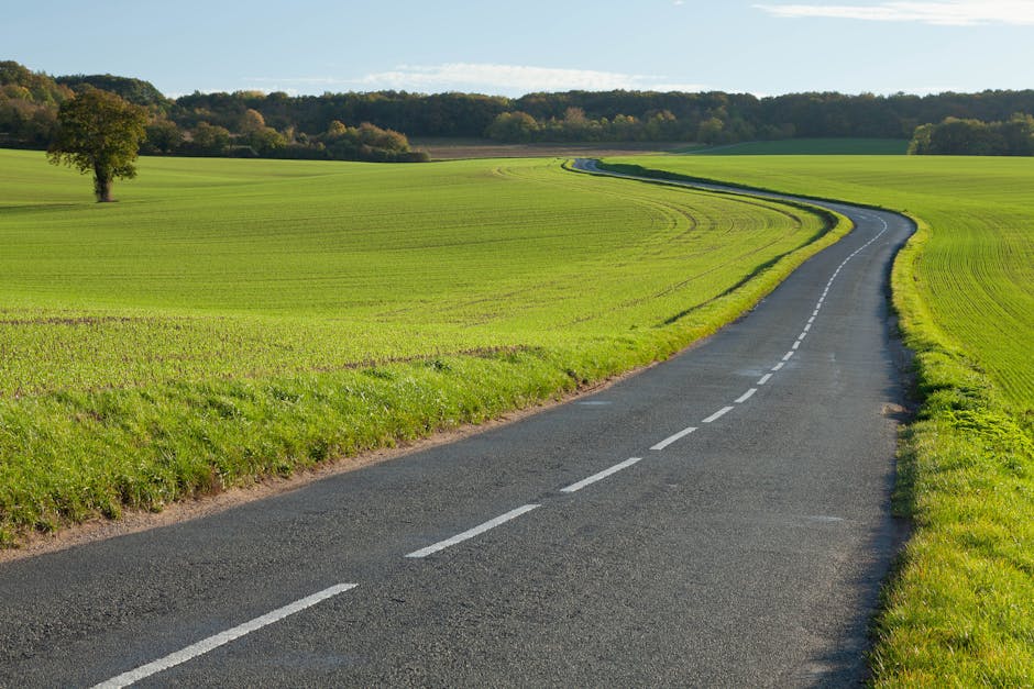 What This Means for the Road Ahead