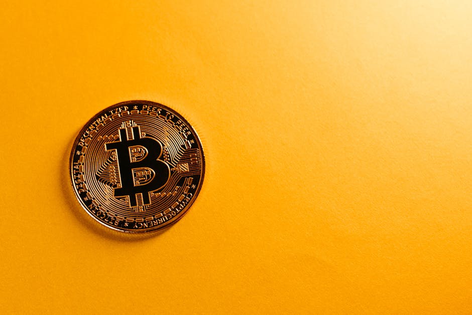 A Look Ahead: What to Watch Next