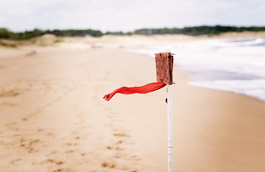 Risks And Red Flags: What Could Cause A Demise Or Distant Growth