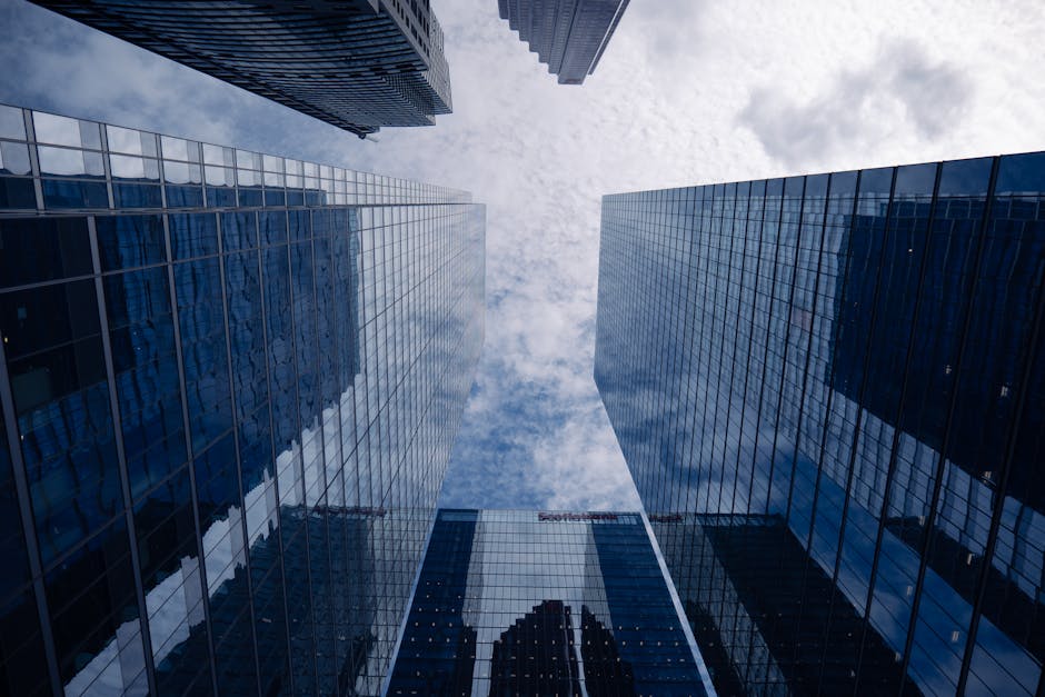 What This Means for VVX Stock: Short-Term vs. Long-Term Implications