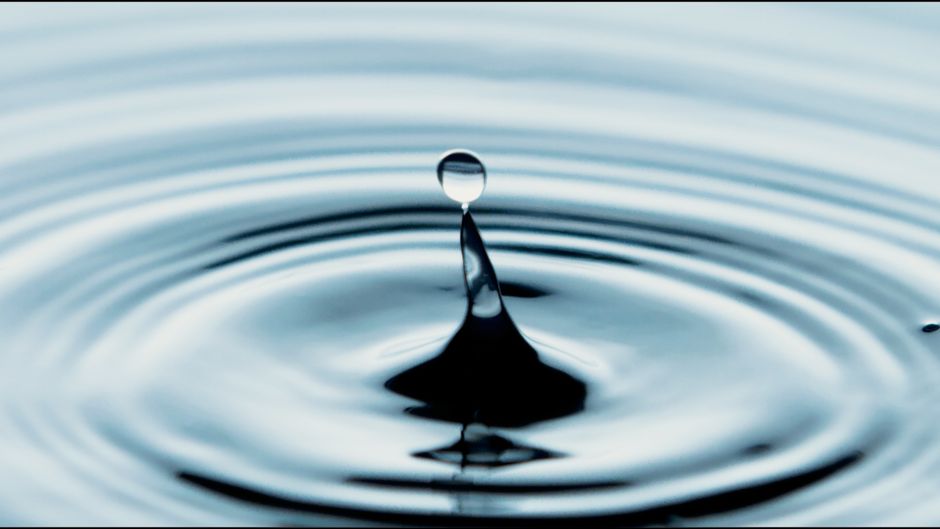 Ripple's Role and Market Realities