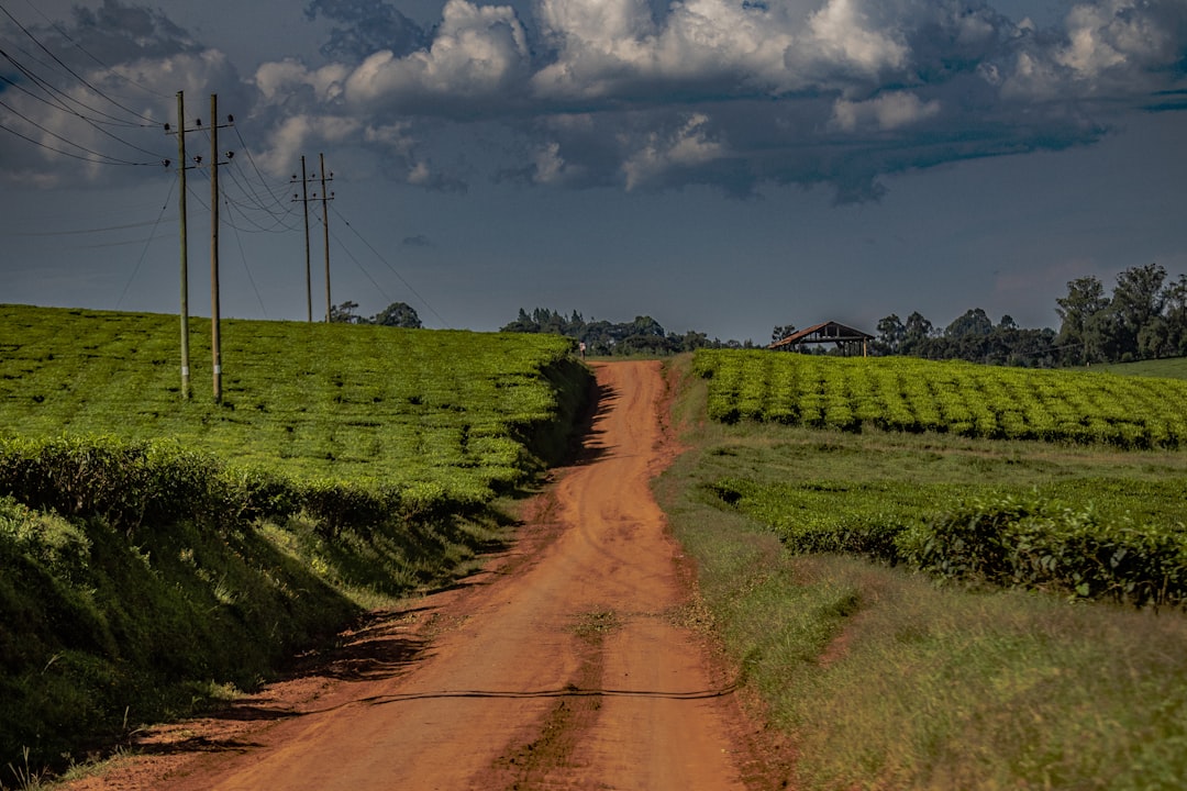 Key Figures: How Water Feeds the Region