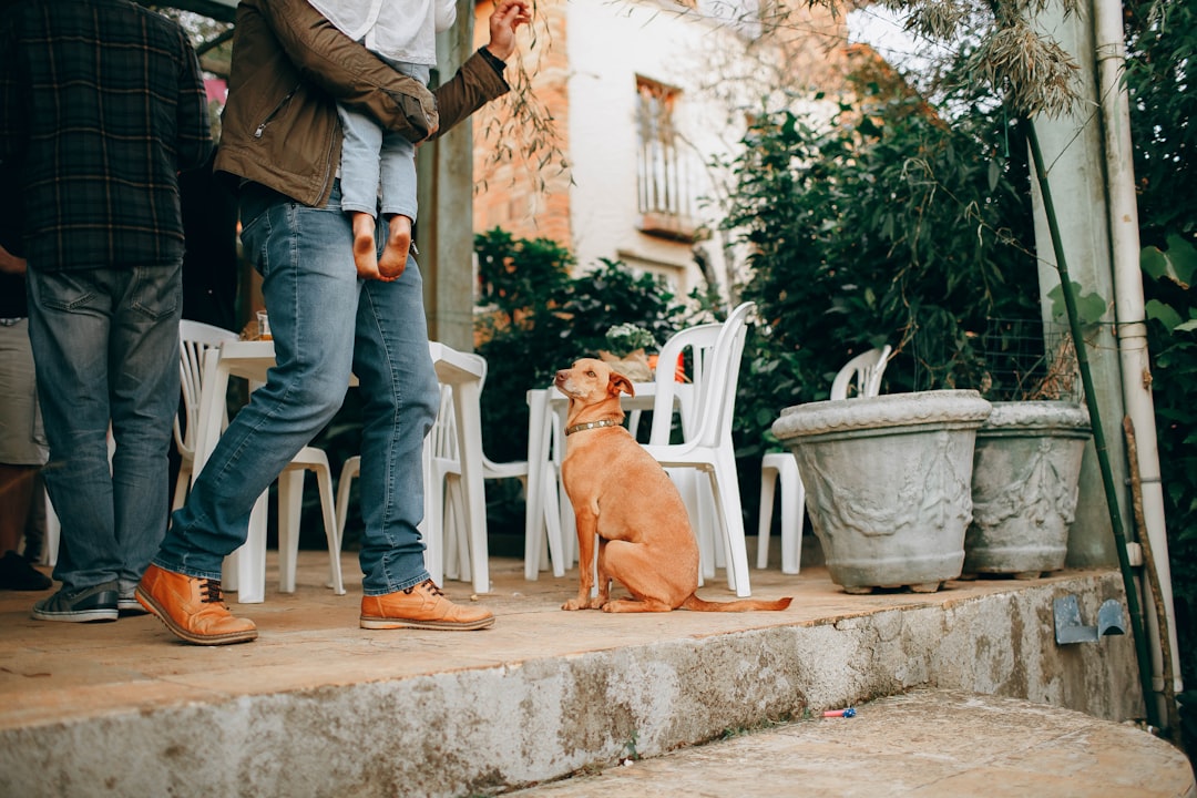 FAQ: quick, clear answers for pet buyers