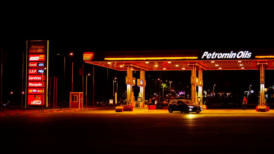 Key Link: Petrobras, Vale And The Commodity Cycle