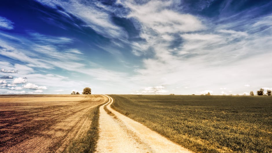 What Comes Next: Roadmap And Risk Outlook