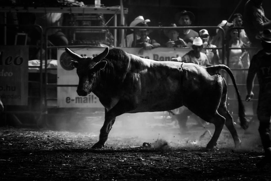 The Bull Case: Why 560 Basis Points Matters