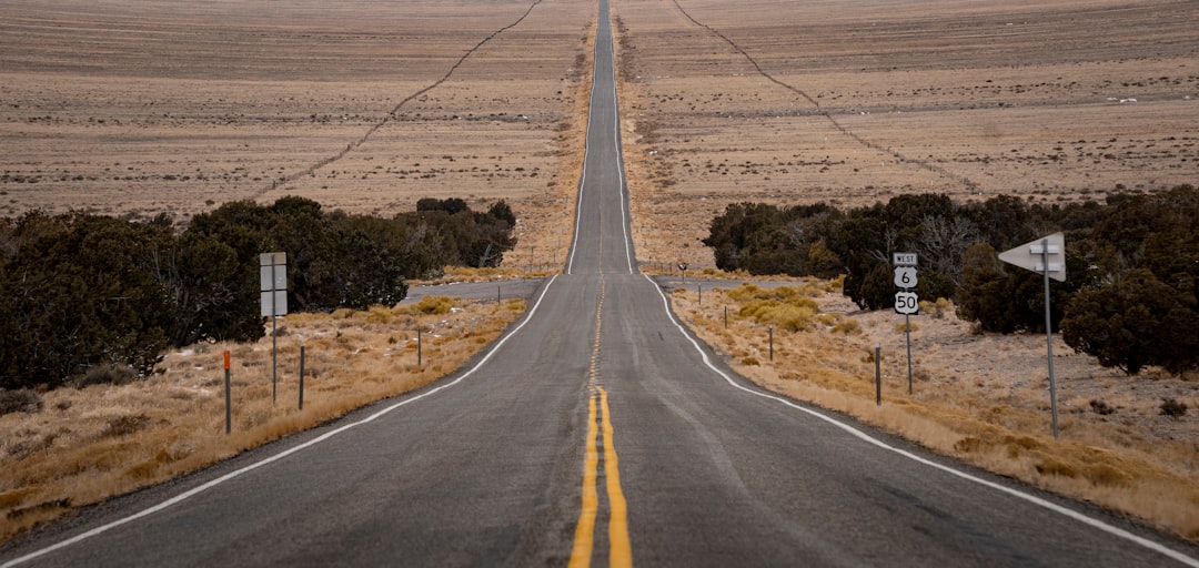 Policy, markets and the road ahead