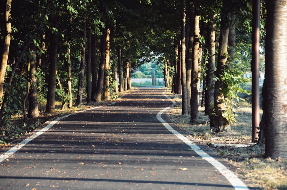 Long-Term Perspective: The Path Forward For Poet Technologies