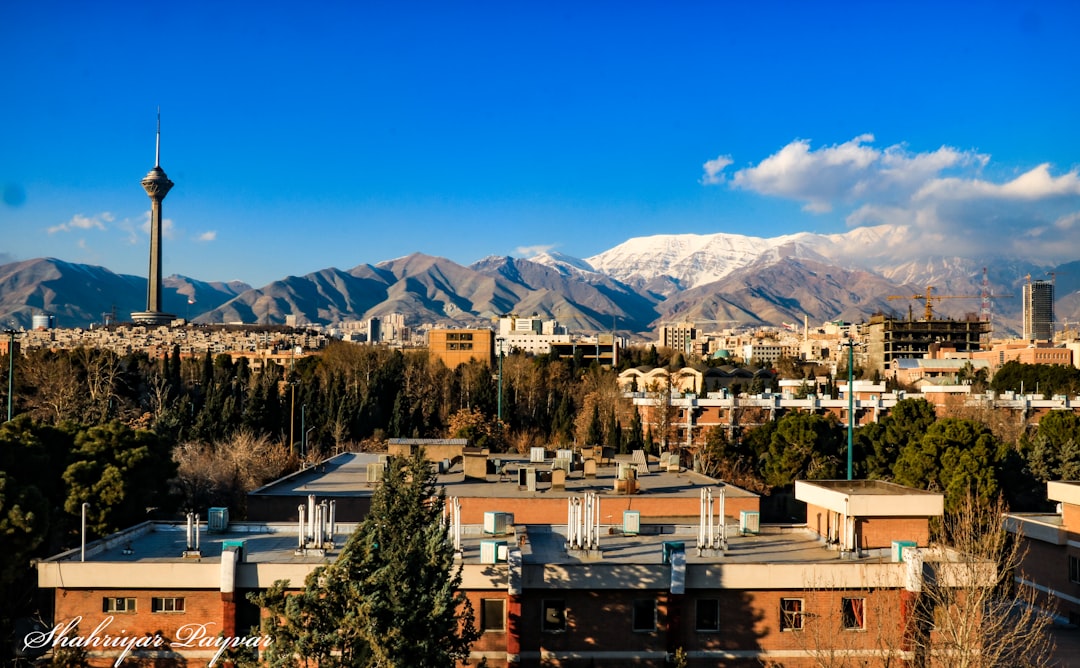Inside the Iran Bets: What the Reports Suggest