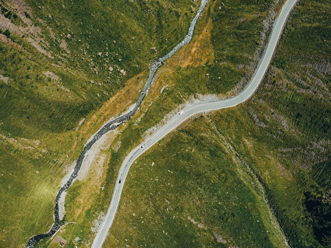 Cardano's Roadmap and Ecosystem