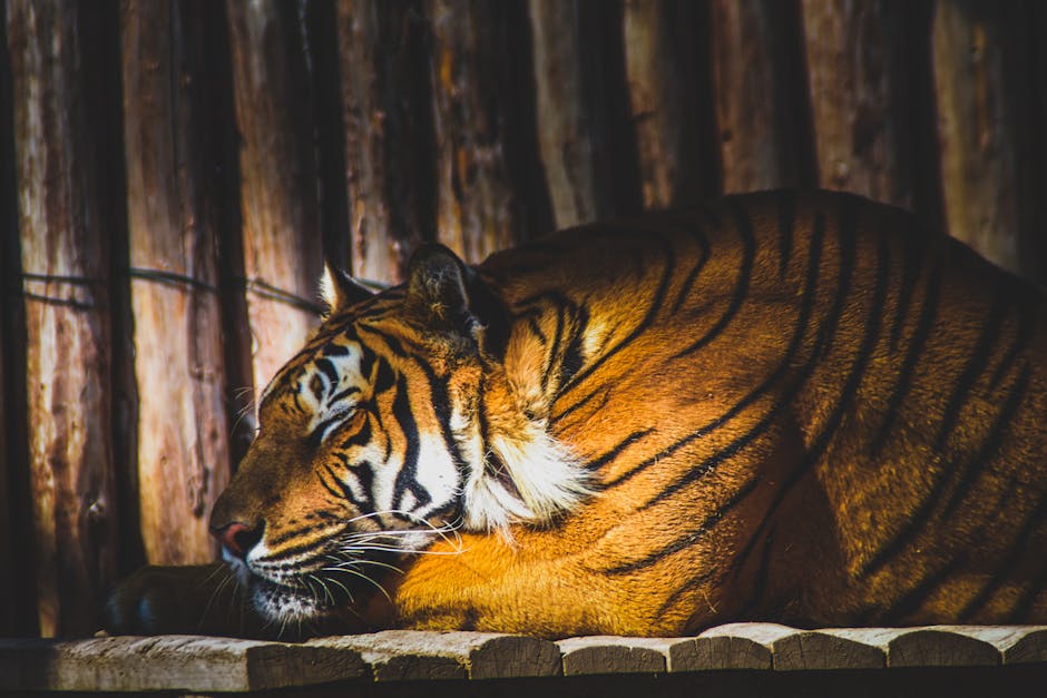 Reactions From Stakeholders