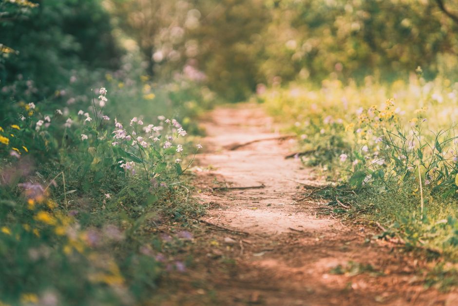 Conclusion: A Thoughtful Path, Not a Guilty Plea to Risk
