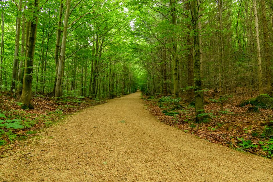The Path to $700: What Has to Align