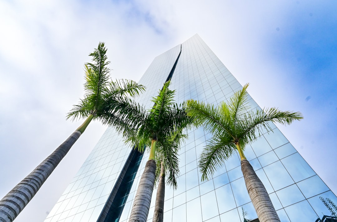 A Practical, Real-World Investing Plan