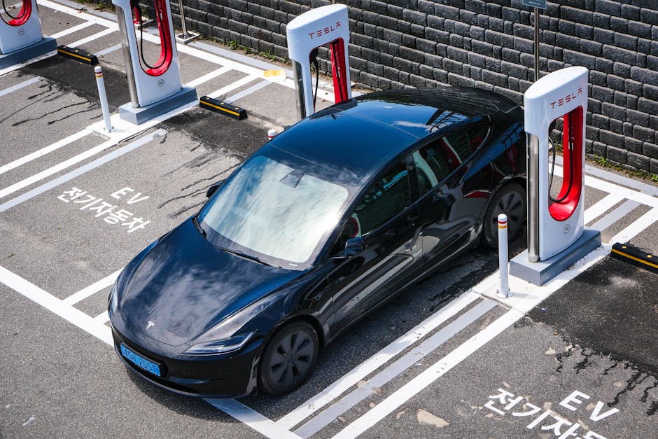 How To Evaluate The Prediction: Tesla Stock Before 2029 In Real Life