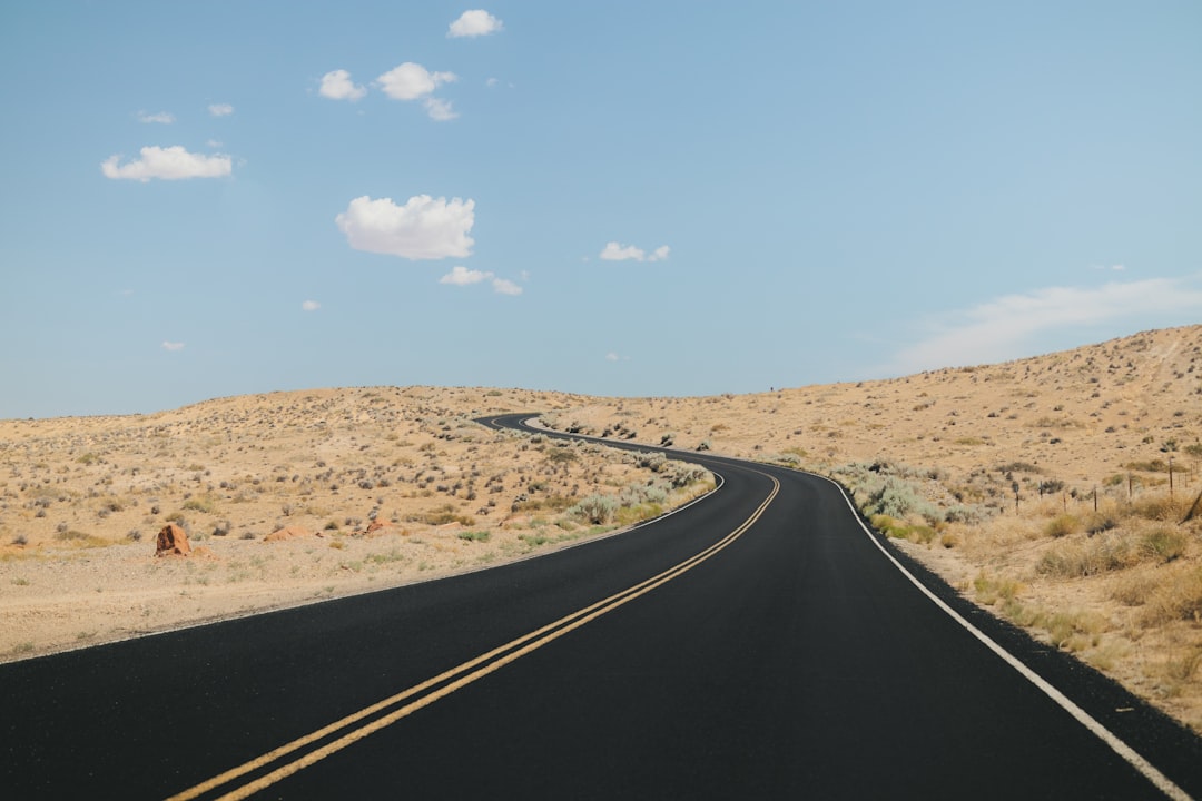 A Realistic Roadmap: From Forecast to Portfolio Action
