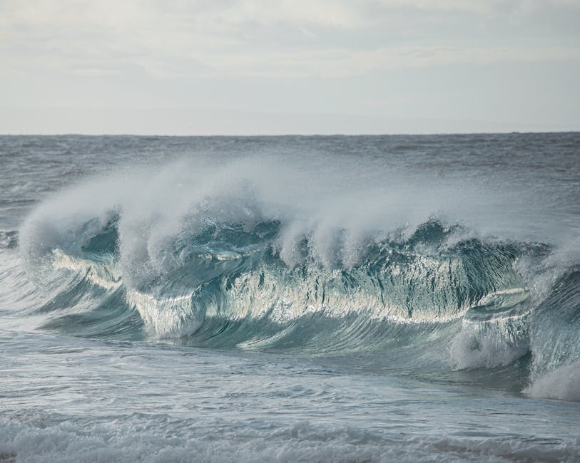 Market Signals: Why This Wave Could Be Bigger Than It Looks