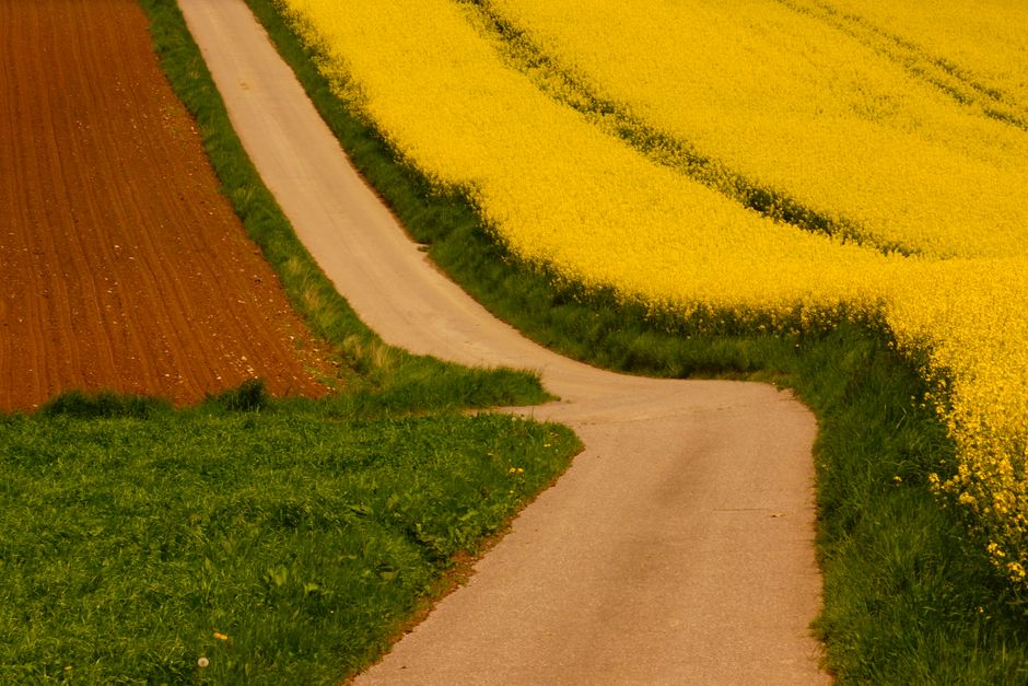 Scenario Planning: What Each Path Could Look Like