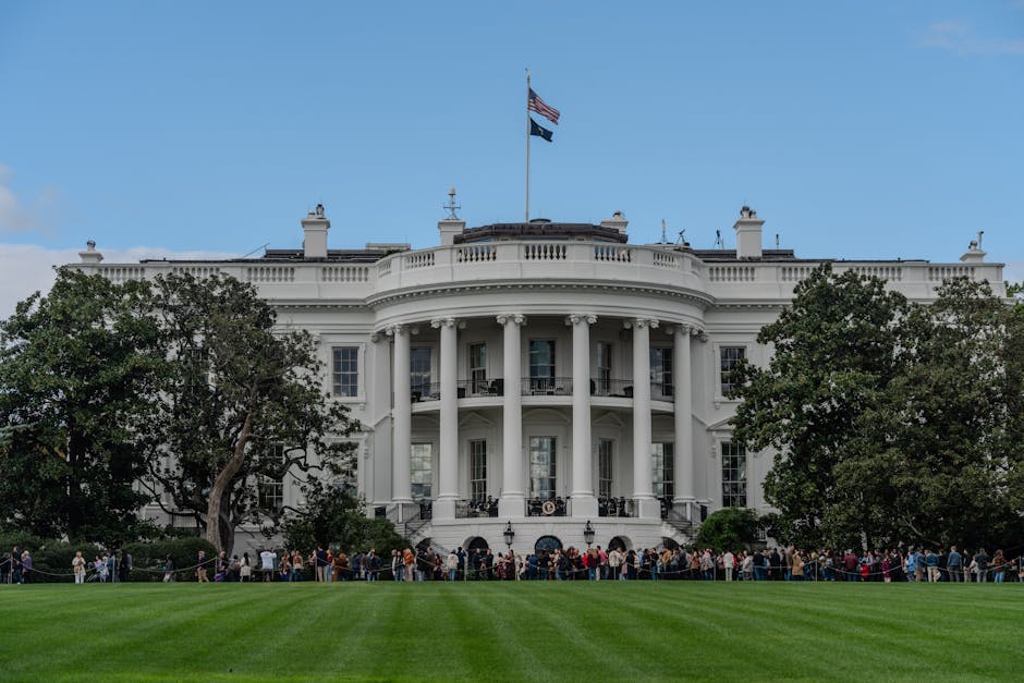 What if president donald trump's pick is more hawkish? Three practical scenarios