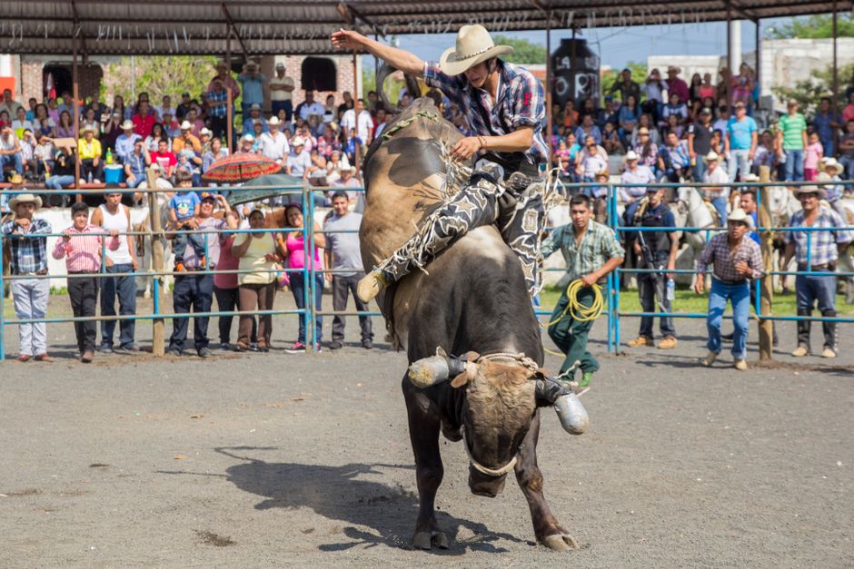 Risks to the Bull Case