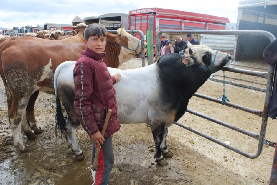 Bulls See A Path To Higher Prices