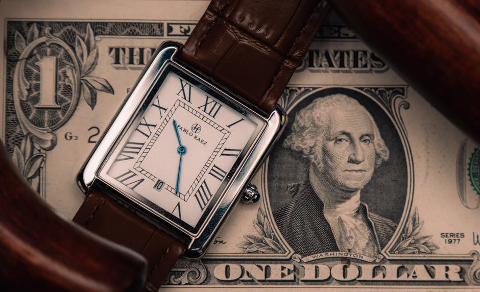 What Investors Should Watch Next